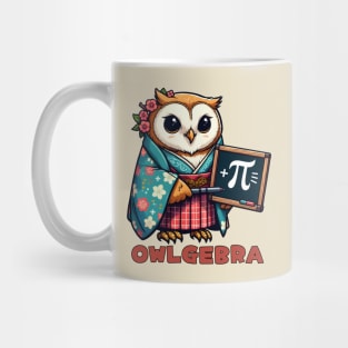 Pi day owl Mug